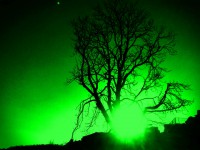 /album/fotogalerie-fotogalerie/a20130316163112-2-jpg/