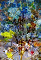 /album/fotogalerie-fotogalerie/img-20131102-0002-jpg/